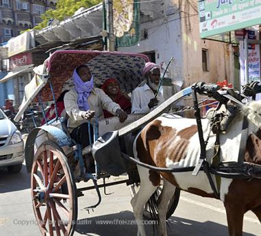 01 Pushkar_DSC4918_b_H600